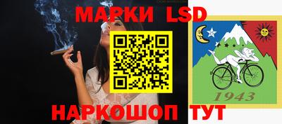 стаф Новодвинск