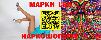 стаф Новодвинск