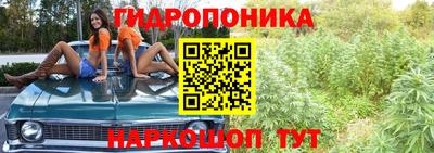 стаф Новодвинск
